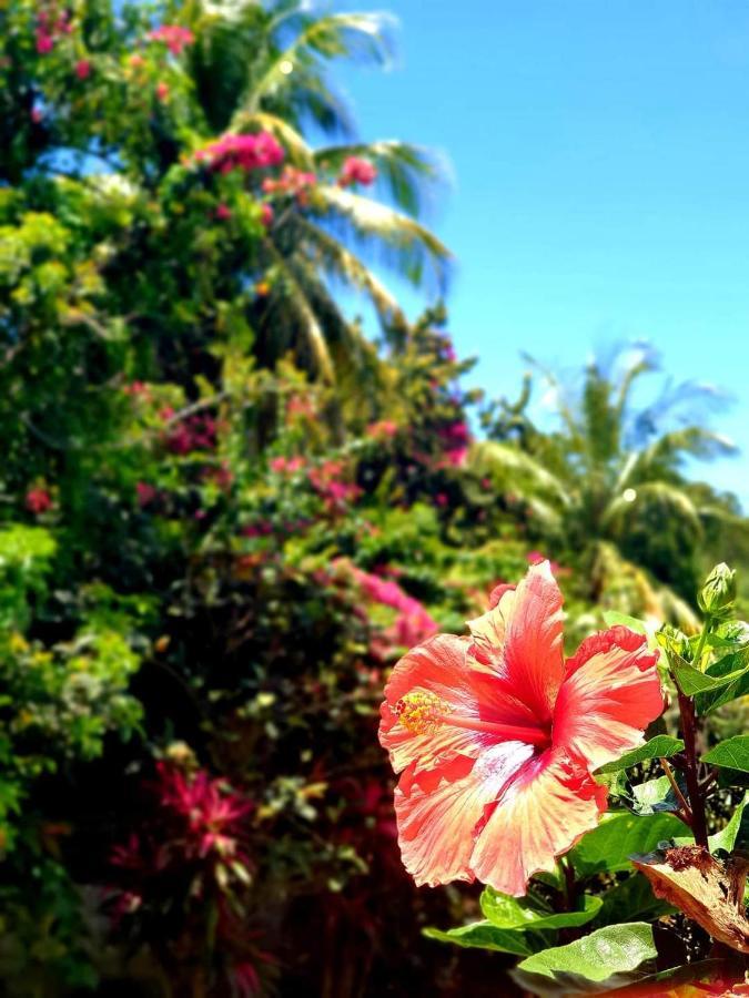Gite 4 Etoiles, La Vieille Sucrerie St Claude Guadeloupe, Jacuzzi Spa Privatif, Vue Exceptionnelle Sur La Mer Des Caraibes Basse-Terre Luaran gambar