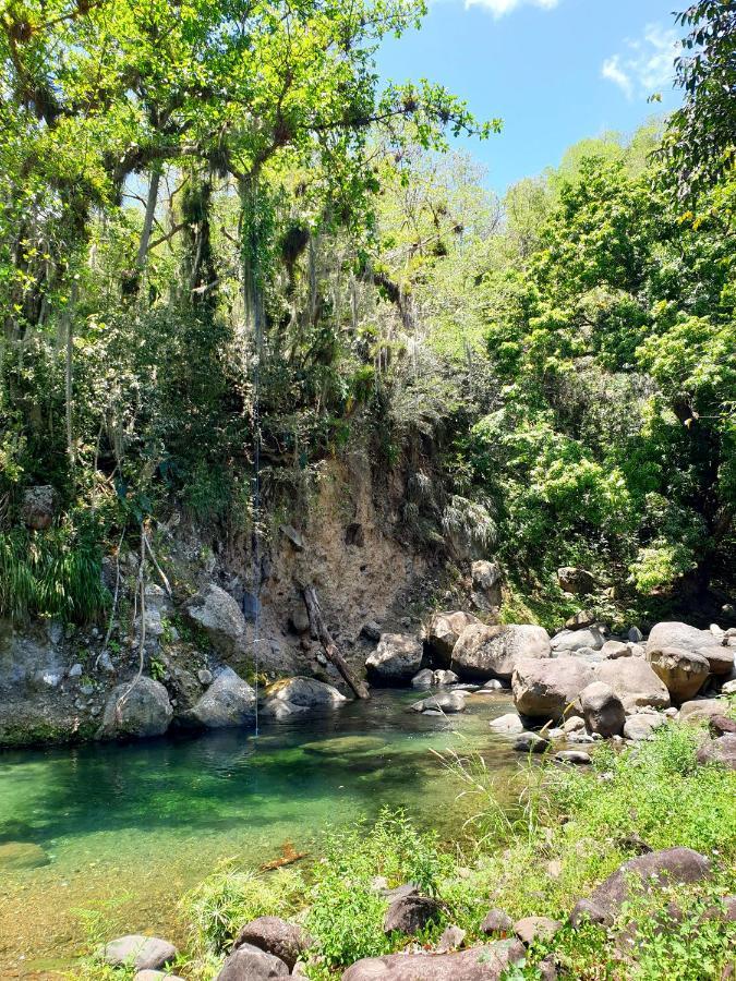 Gite 4 Etoiles, La Vieille Sucrerie St Claude Guadeloupe, Jacuzzi Spa Privatif, Vue Exceptionnelle Sur La Mer Des Caraibes Basse-Terre Luaran gambar