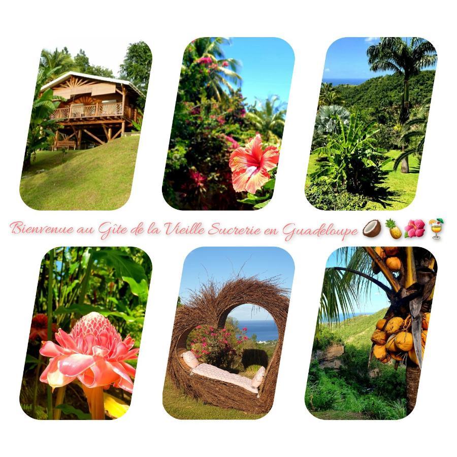 Gite 4 Etoiles, La Vieille Sucrerie St Claude Guadeloupe, Jacuzzi Spa Privatif, Vue Exceptionnelle Sur La Mer Des Caraibes Basse-Terre Luaran gambar