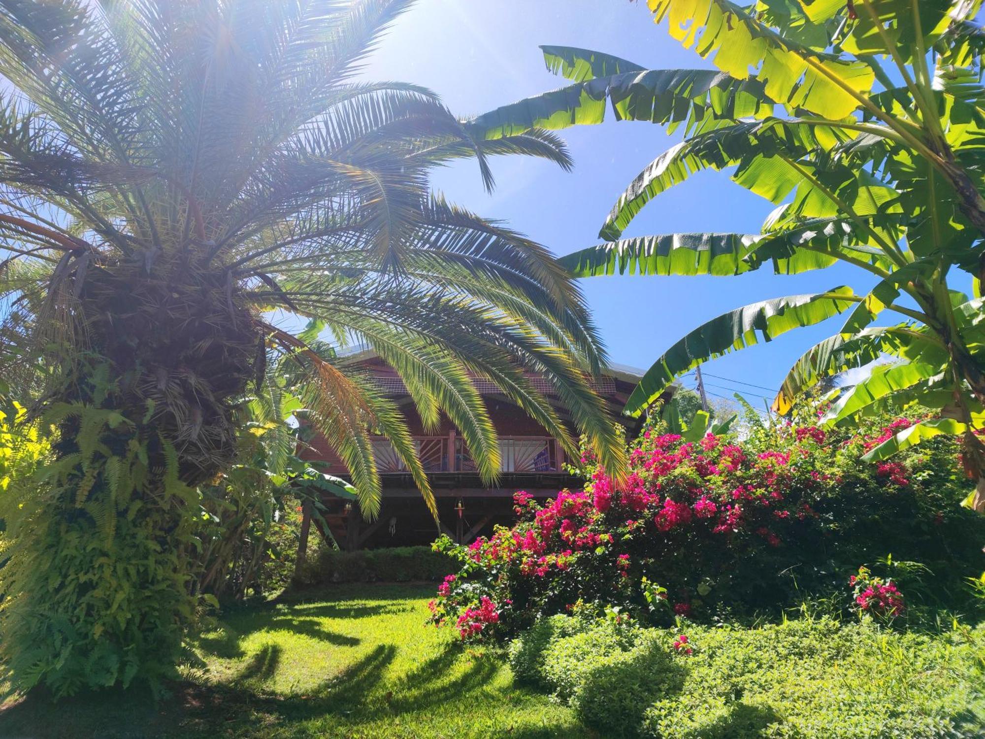 Gite 4 Etoiles, La Vieille Sucrerie St Claude Guadeloupe, Jacuzzi Spa Privatif, Vue Exceptionnelle Sur La Mer Des Caraibes Basse-Terre Luaran gambar