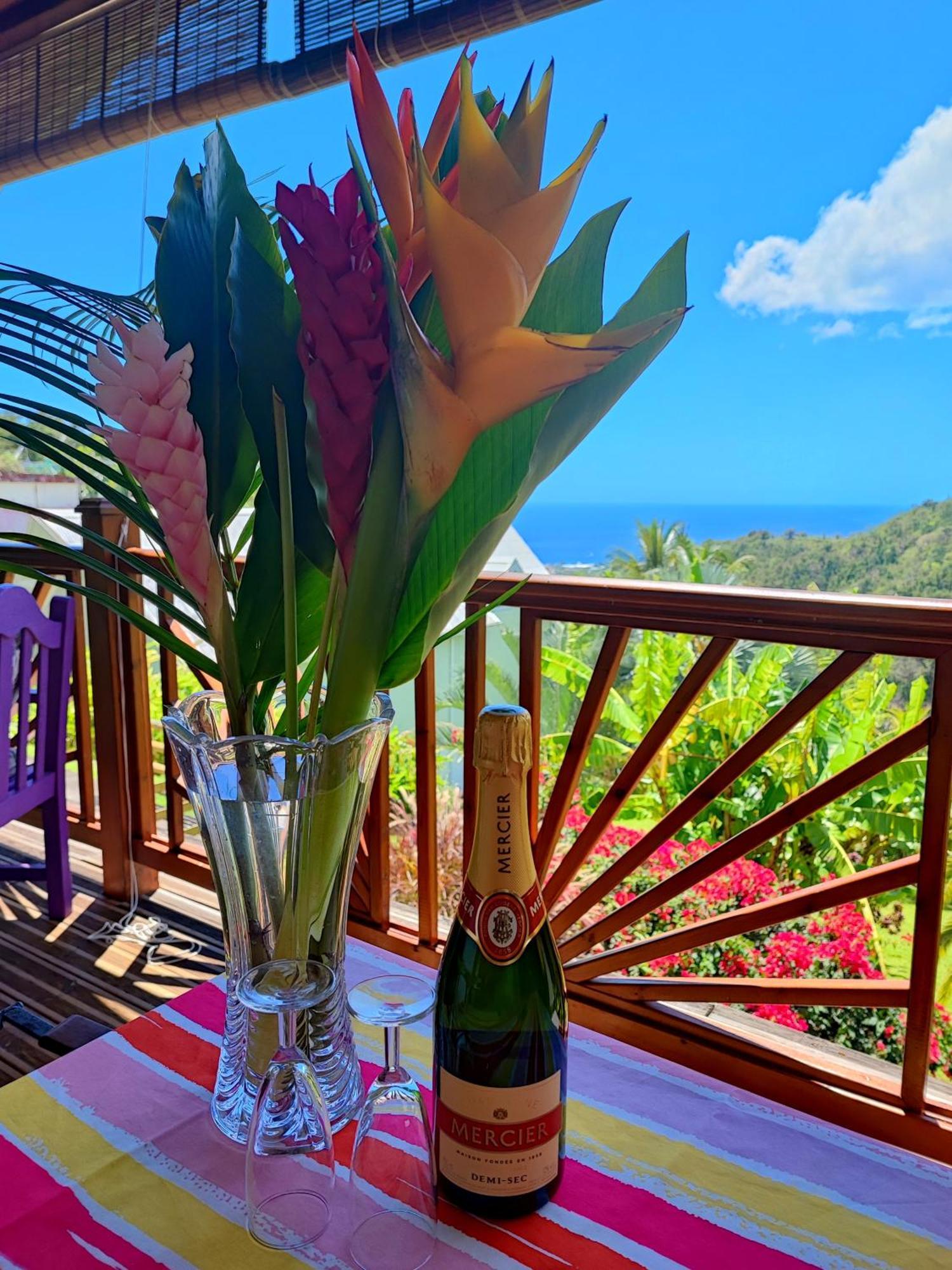 Gite 4 Etoiles, La Vieille Sucrerie St Claude Guadeloupe, Jacuzzi Spa Privatif, Vue Exceptionnelle Sur La Mer Des Caraibes Basse-Terre Luaran gambar